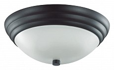 LMN_5263_2C