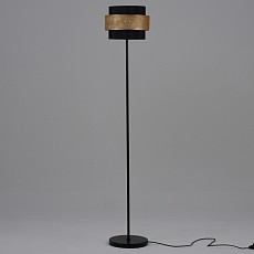 MD_V10494-1F