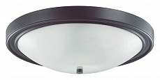LMN_5260_4C