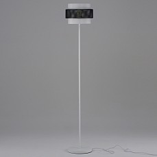 MD_V10488-1F