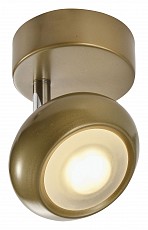 TPL_TL1244Y-01SG