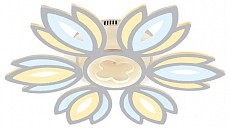 AMBR_FA456