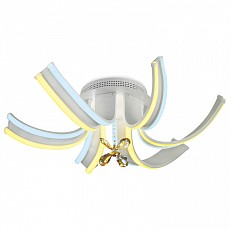 AMBR_FL146